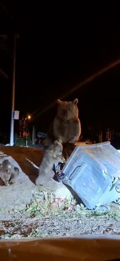 Uludagdaayiailesicopkaristirdi