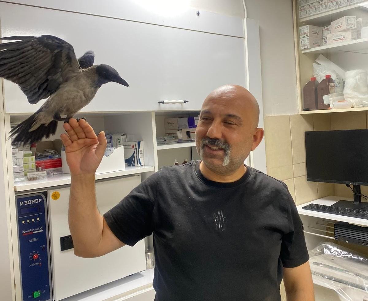 Veterinerdogadabulduguyaralikargayatedavietti