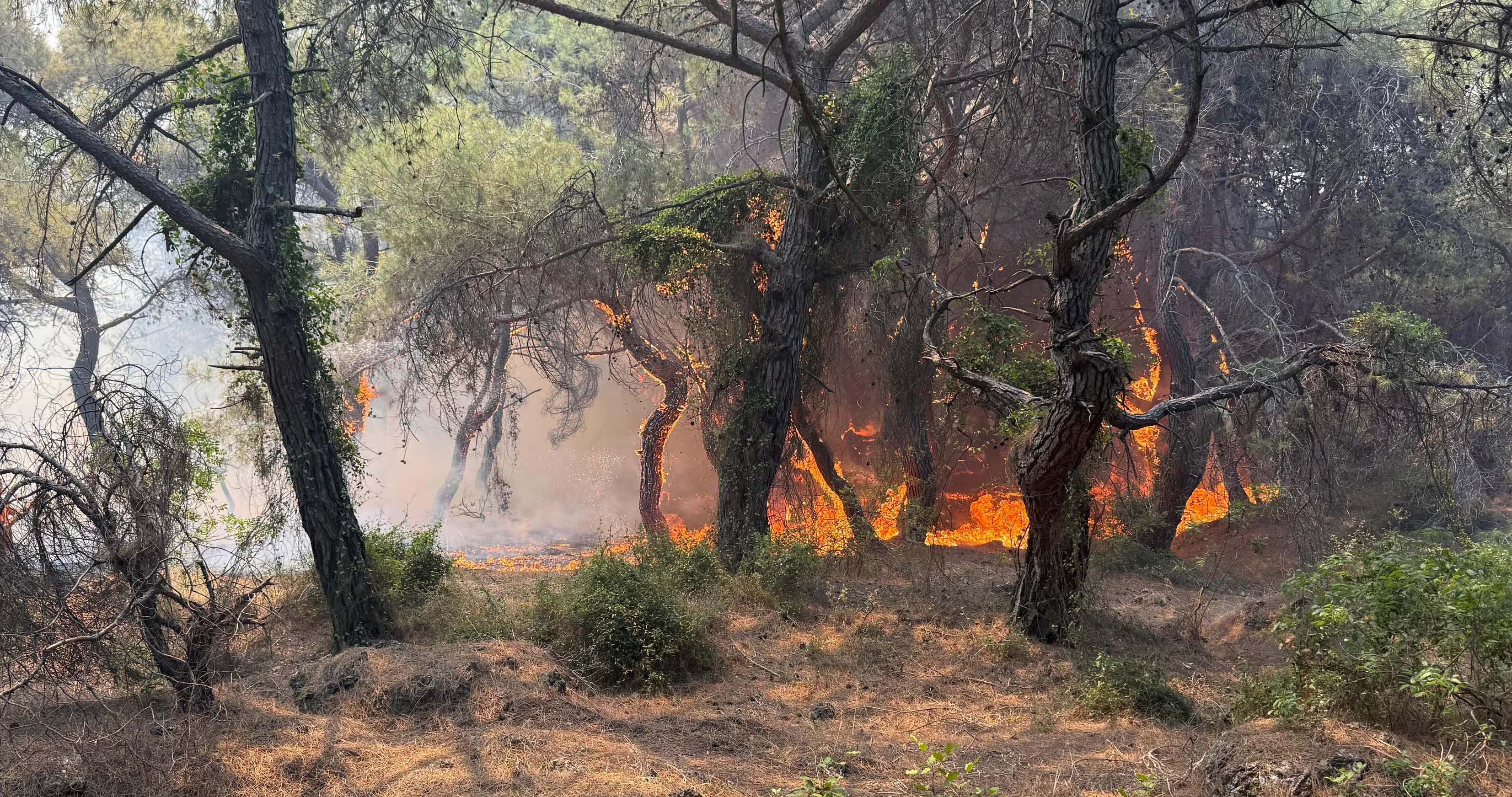 Yanginsadececevreyidegilinsanlaridaetkiliyor (2)