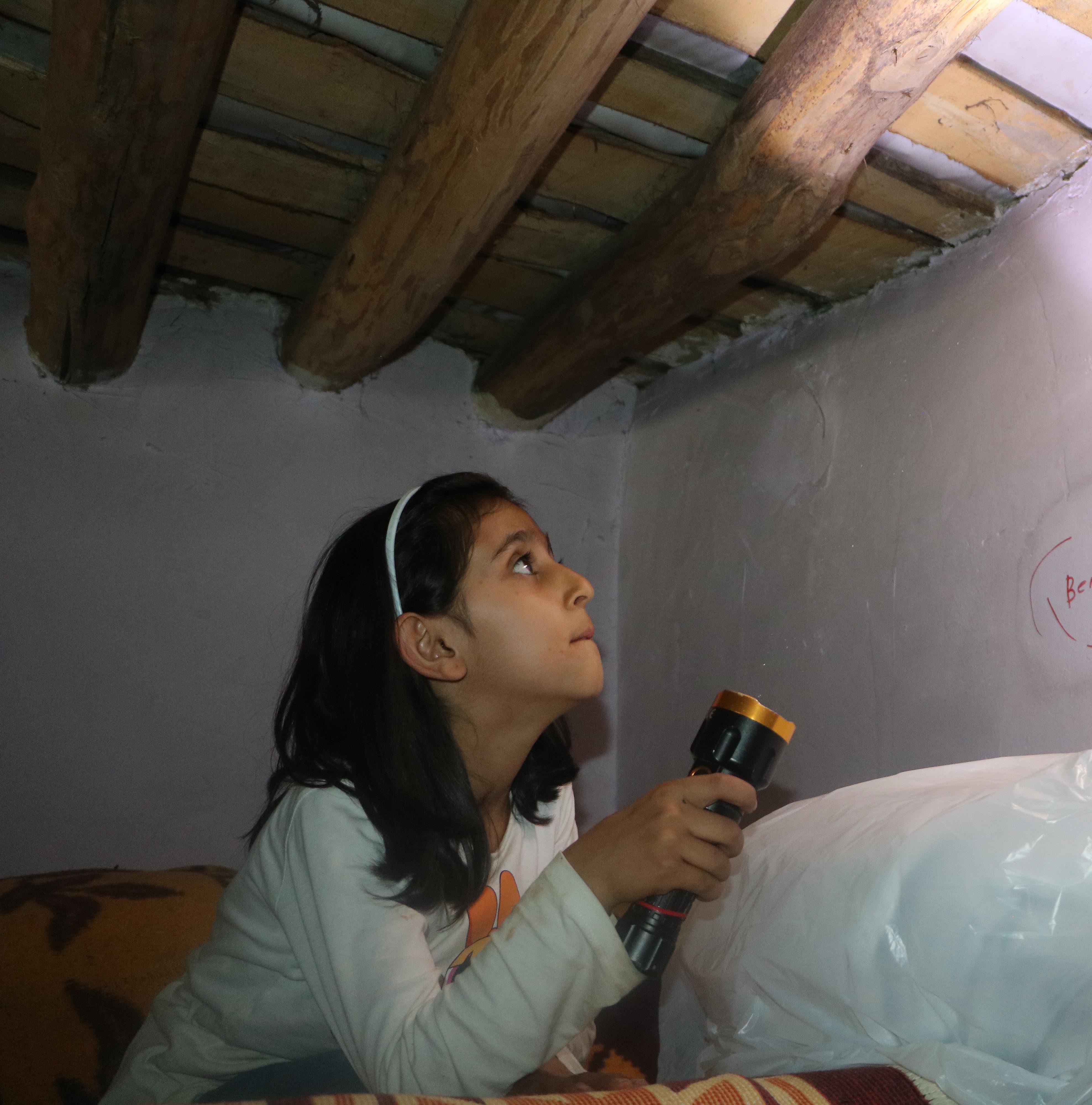 Yılanlıevdeoturanailekabusuyasıyor