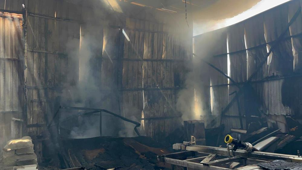 Alanyadacikanyanginkorkuttu