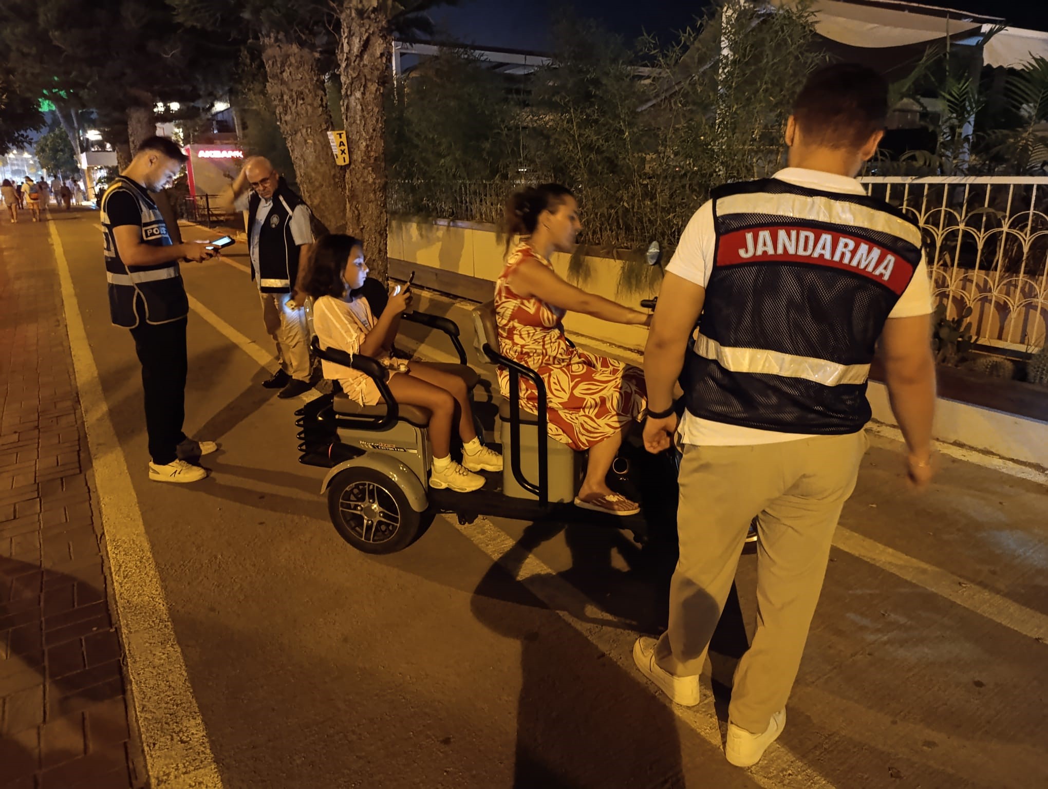 Alanyadadenetimlersuruyor