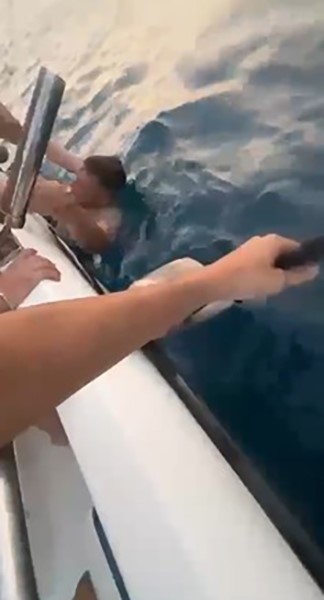 Alkolünetkisiyledenizeacildi