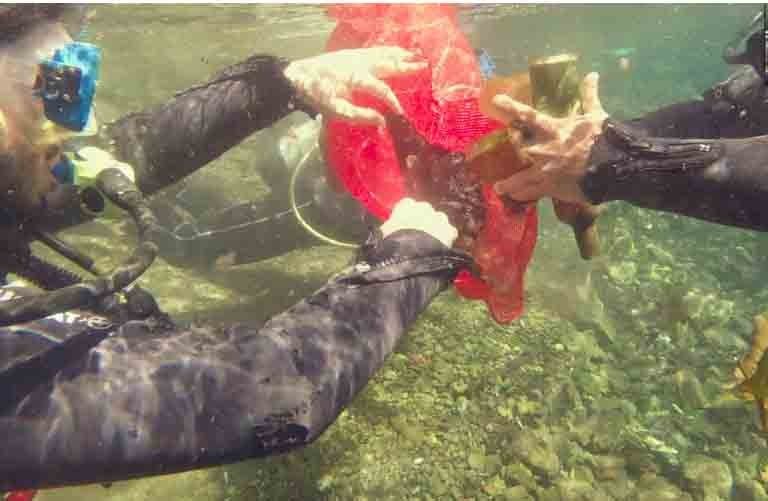 Antalyadadenizinrengidegisti