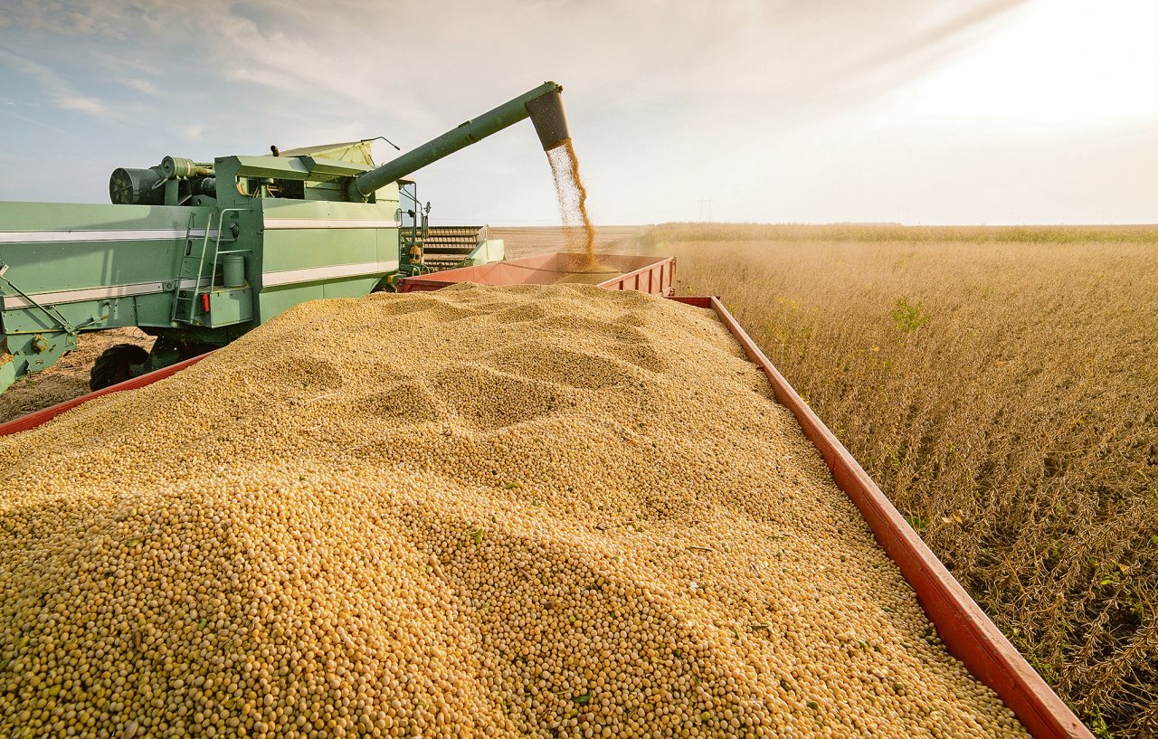 Antalyatarımındaihracatengeli