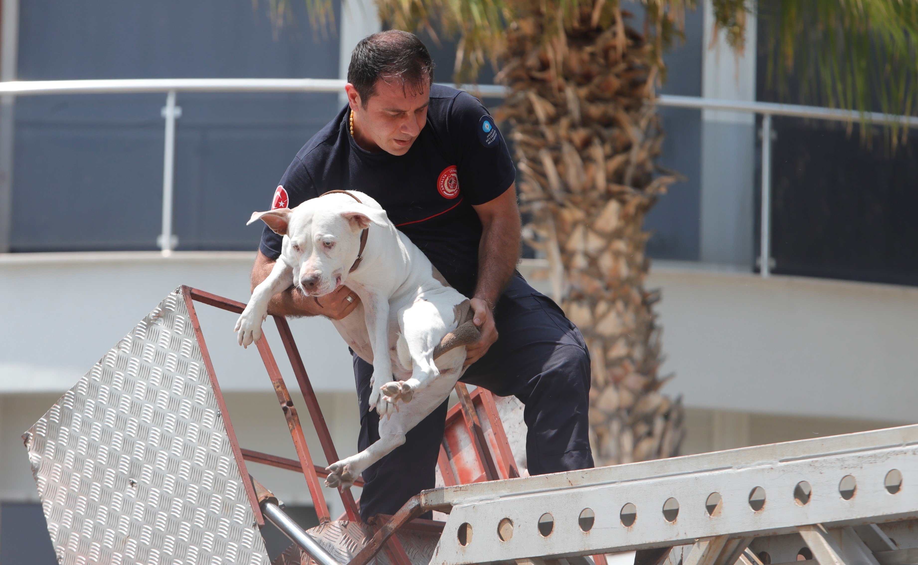 Apartmandayanginciktibalkonakactilar