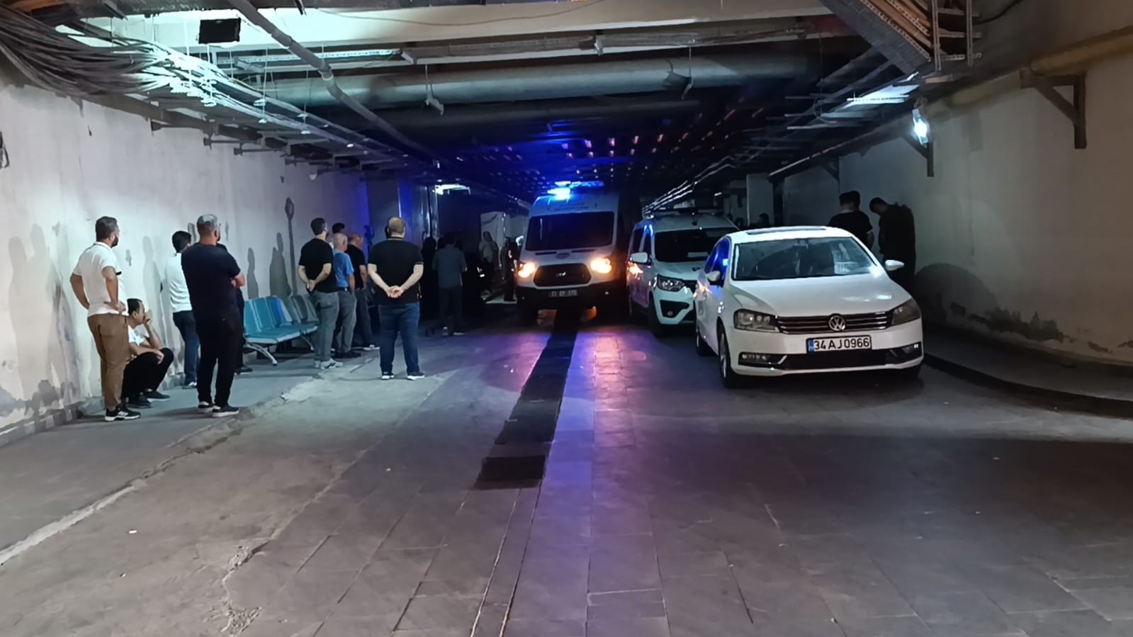 Arkadaskavgasikanlibitti