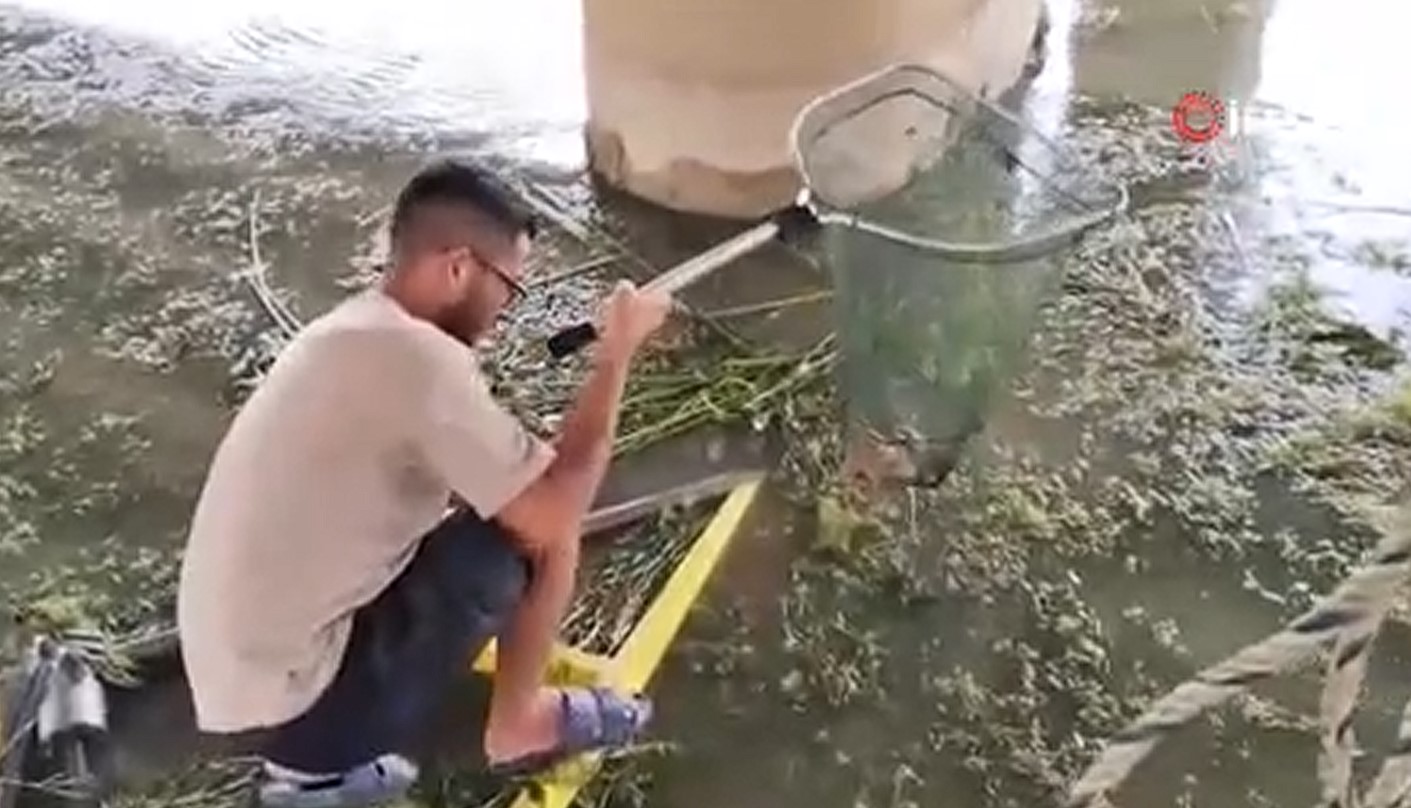 Bogacayinadusenyavrukedininimdadinaekipleryetisti