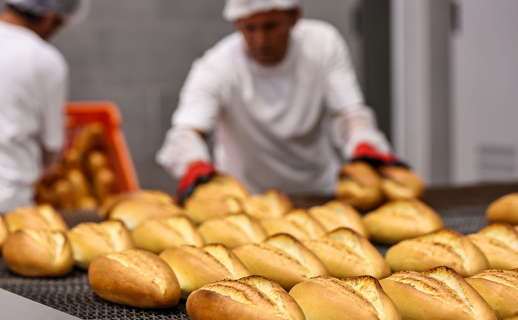 Buyuksehirdenekmekuretimi