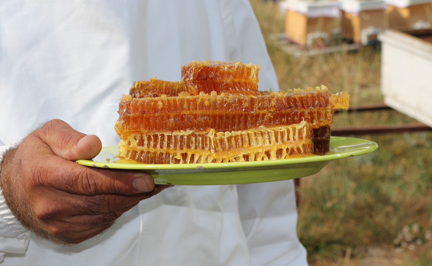 Buyuksehirureticiyidesstekliyor