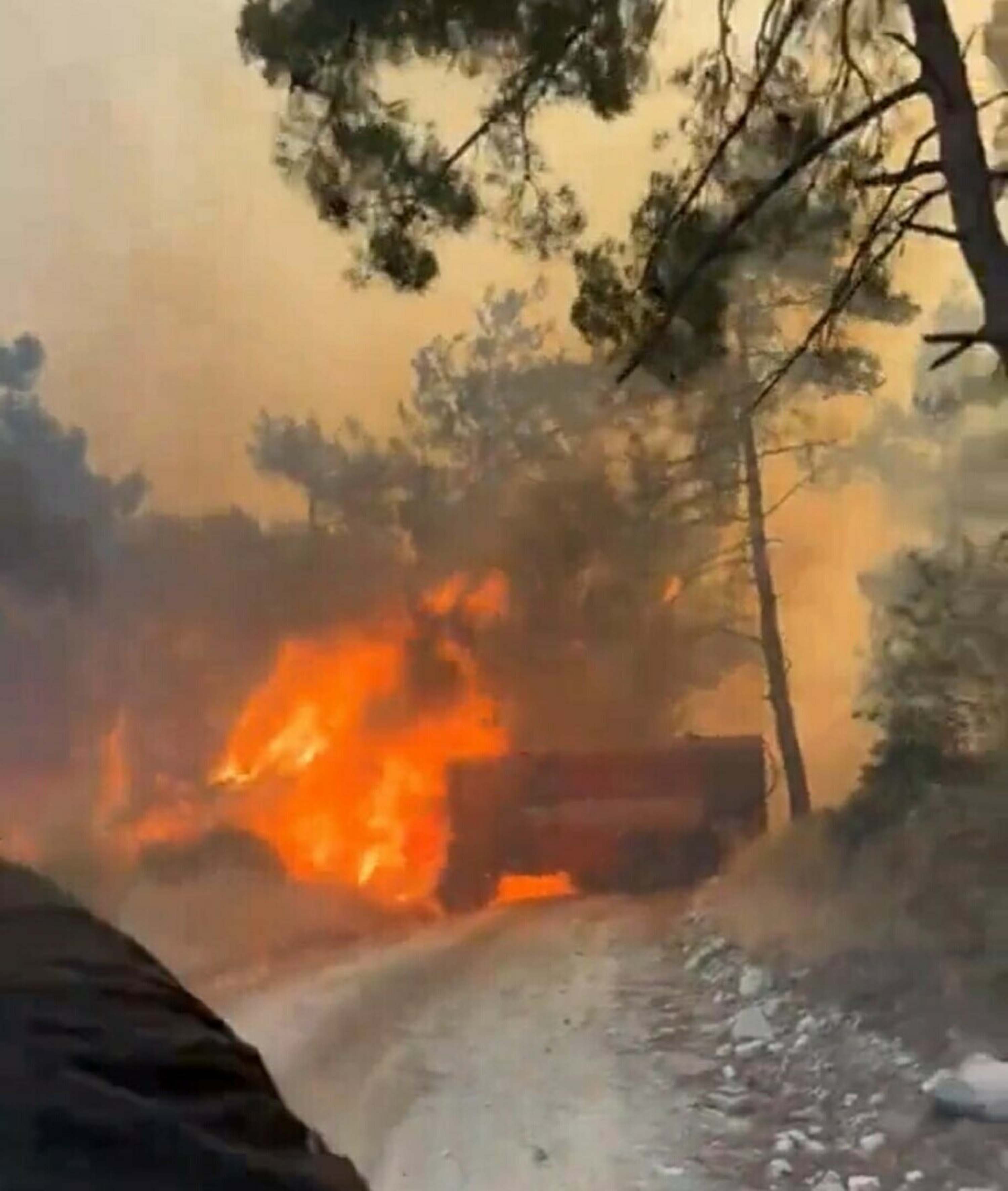Canakkaledeormanlikalandayangincikti