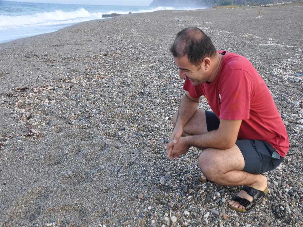 Carettacarettayavrular