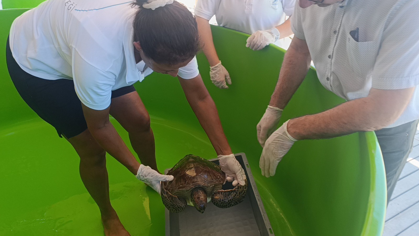 Carettalaricinihbarhattiilkihbarhayatkurtardi