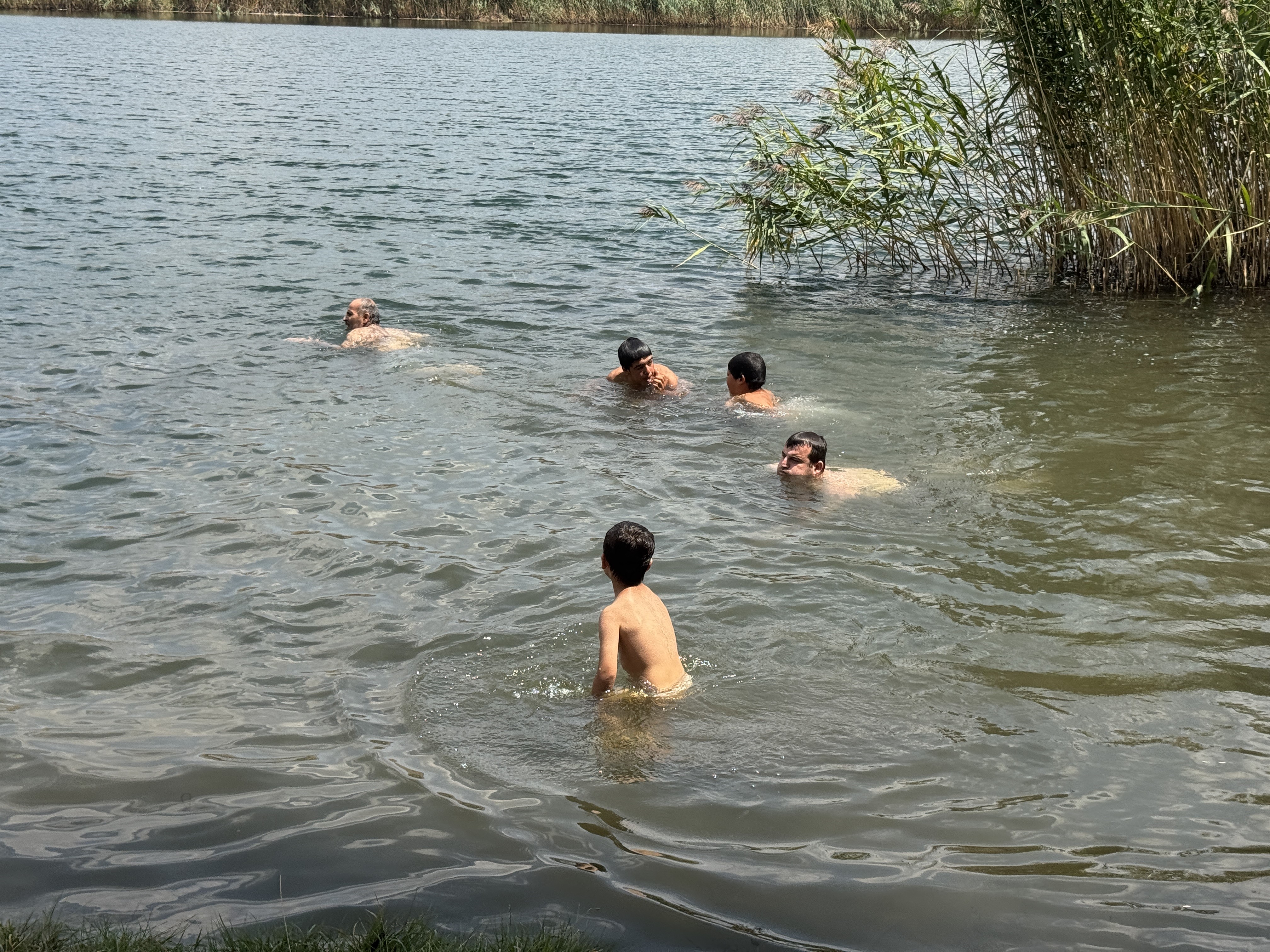 Dagmanzarasindaserinliyorlar