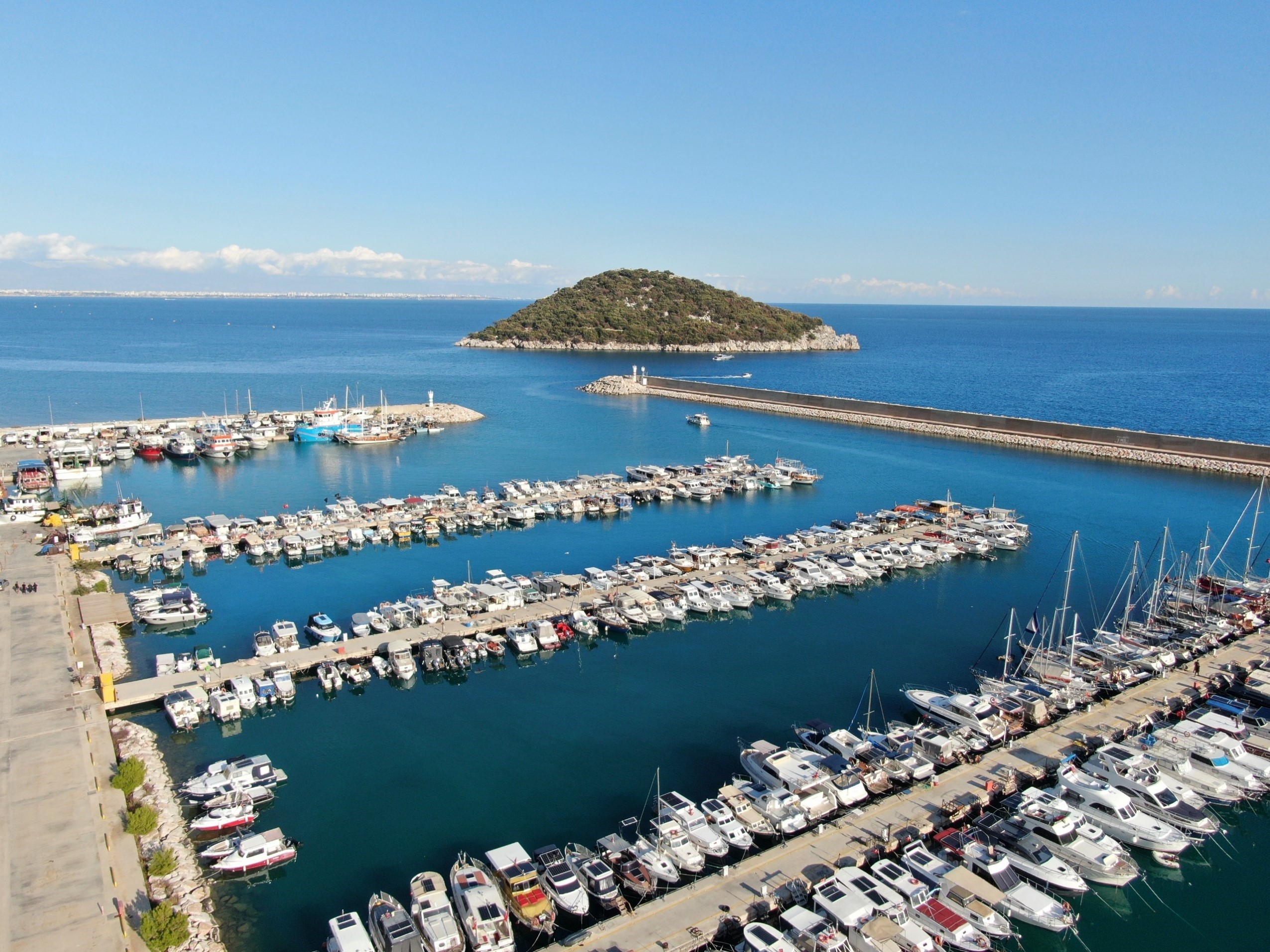 Dalisyaparkenfenalasti