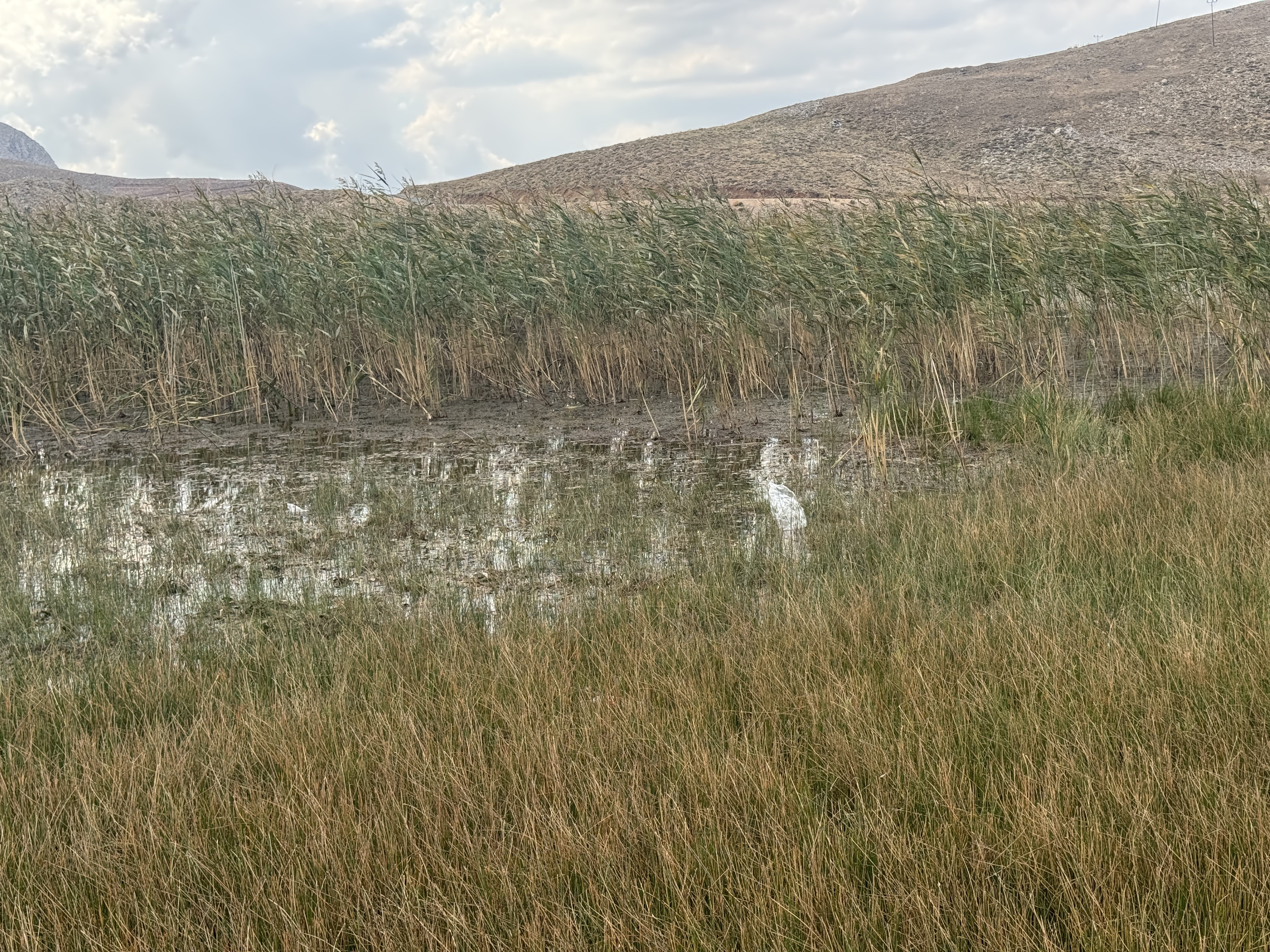 Egrigolyaylasindacevrekatliami