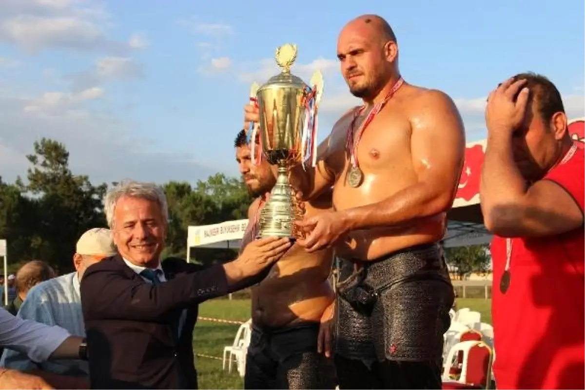 Ertugruldagdevirenkariyeri