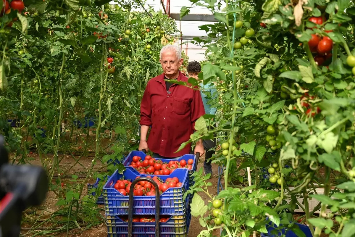 Fahridurankimdirsiyasikariyeri