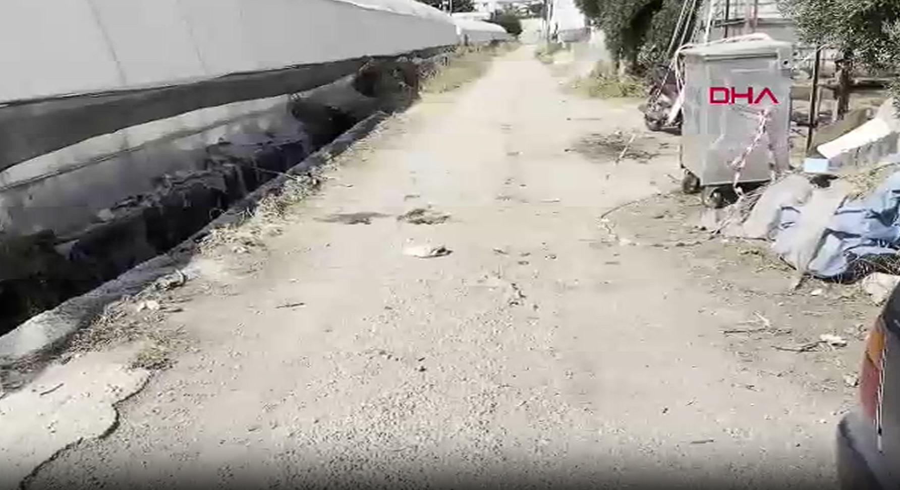 Finikedehusumetlilerinivurduolayyerindenkacti