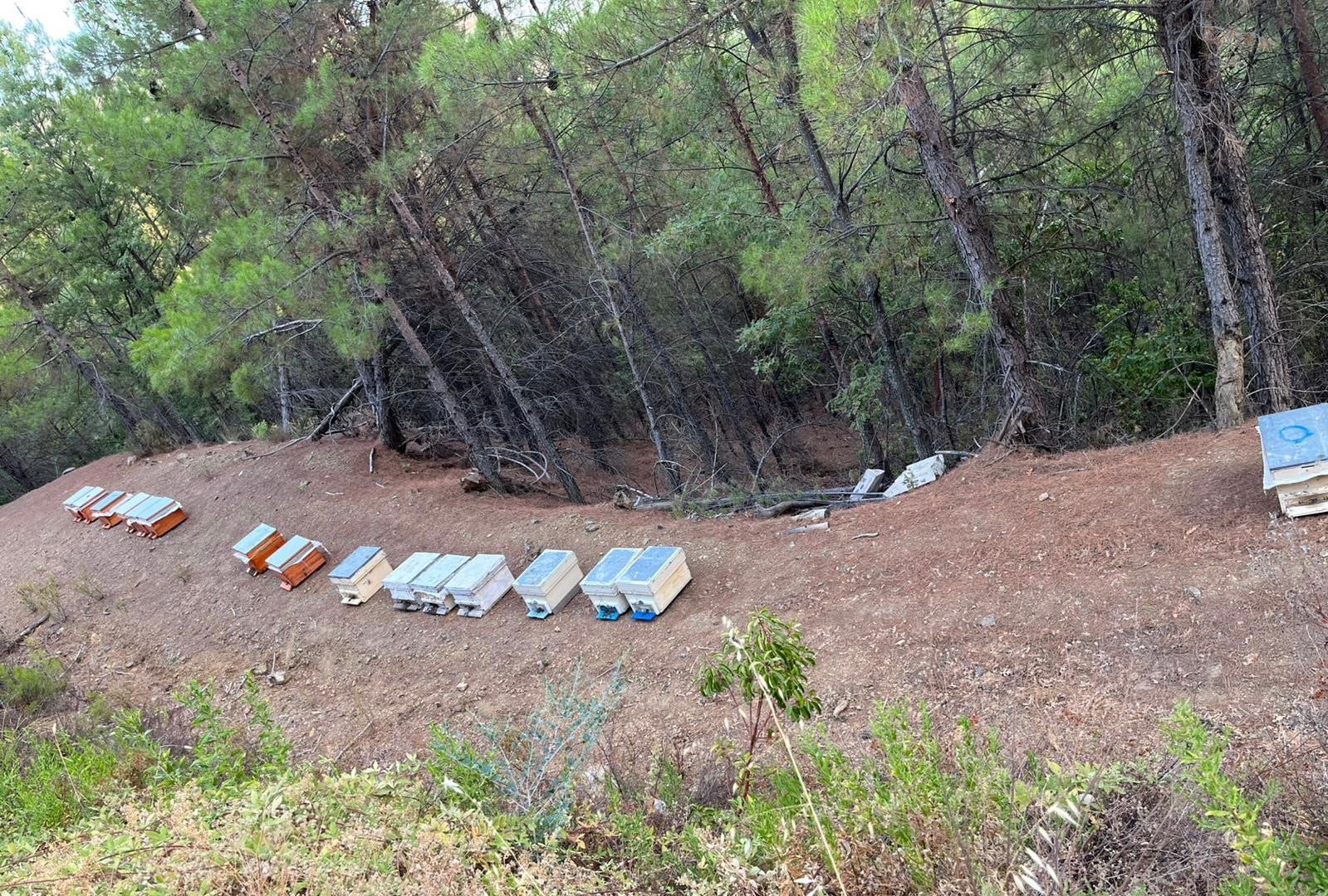 Gazipasadahirsizlikvakasi