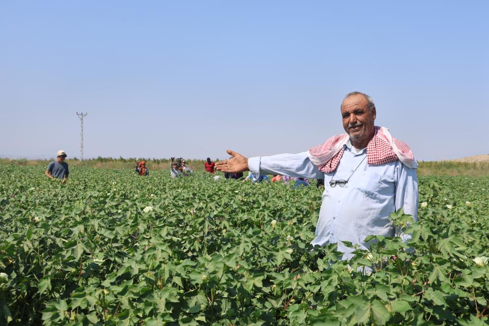 Hataydaiscilerpamuktarlasında650Tlyecalısıyorlar