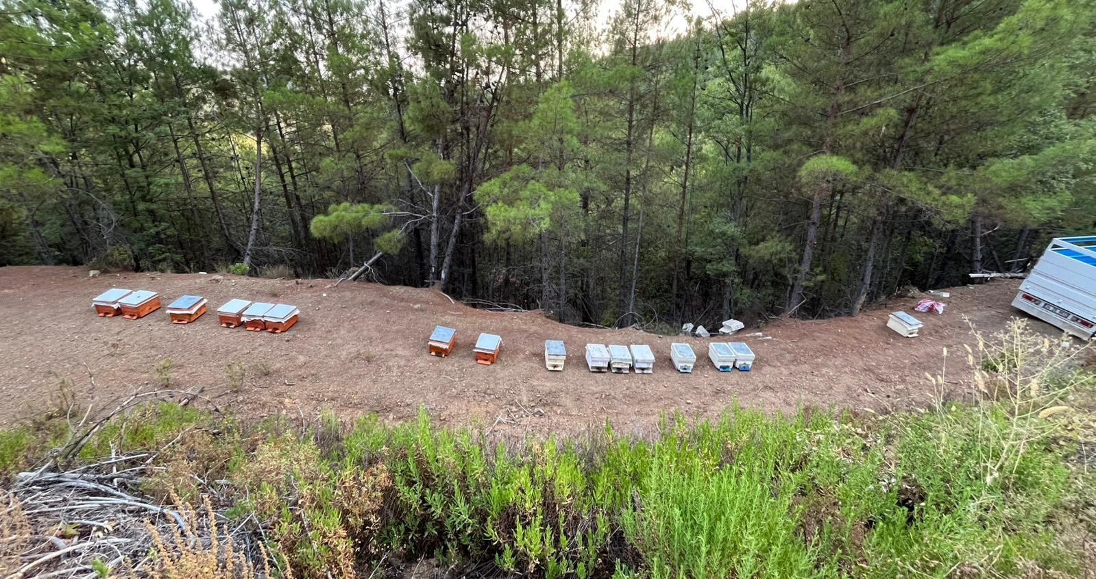 Hirsizliginbukadaripesdedirttiarikovaninicaldilar