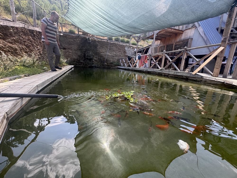 Ibradidahavuzuakvaryumacevirdi