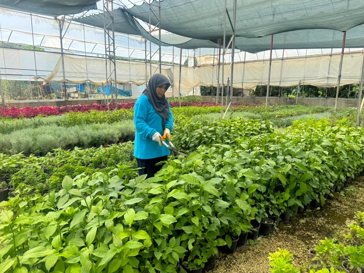 Kadinpersonelleryesilalanlardacalisiyor