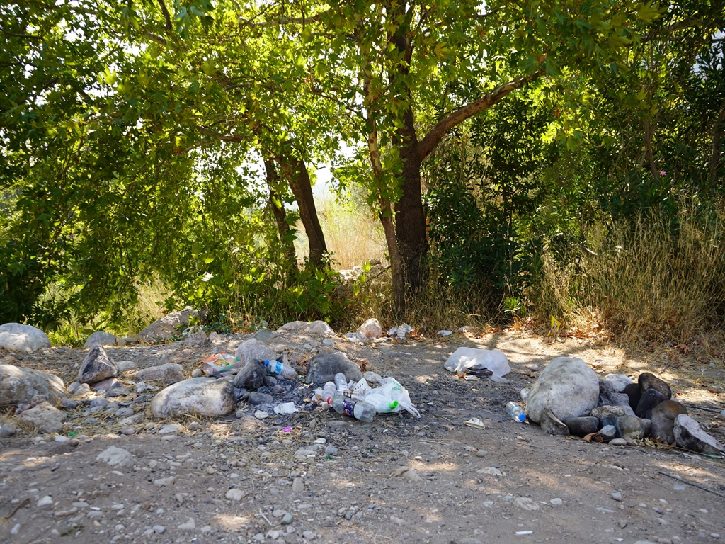 Kanyondacopkirliligi