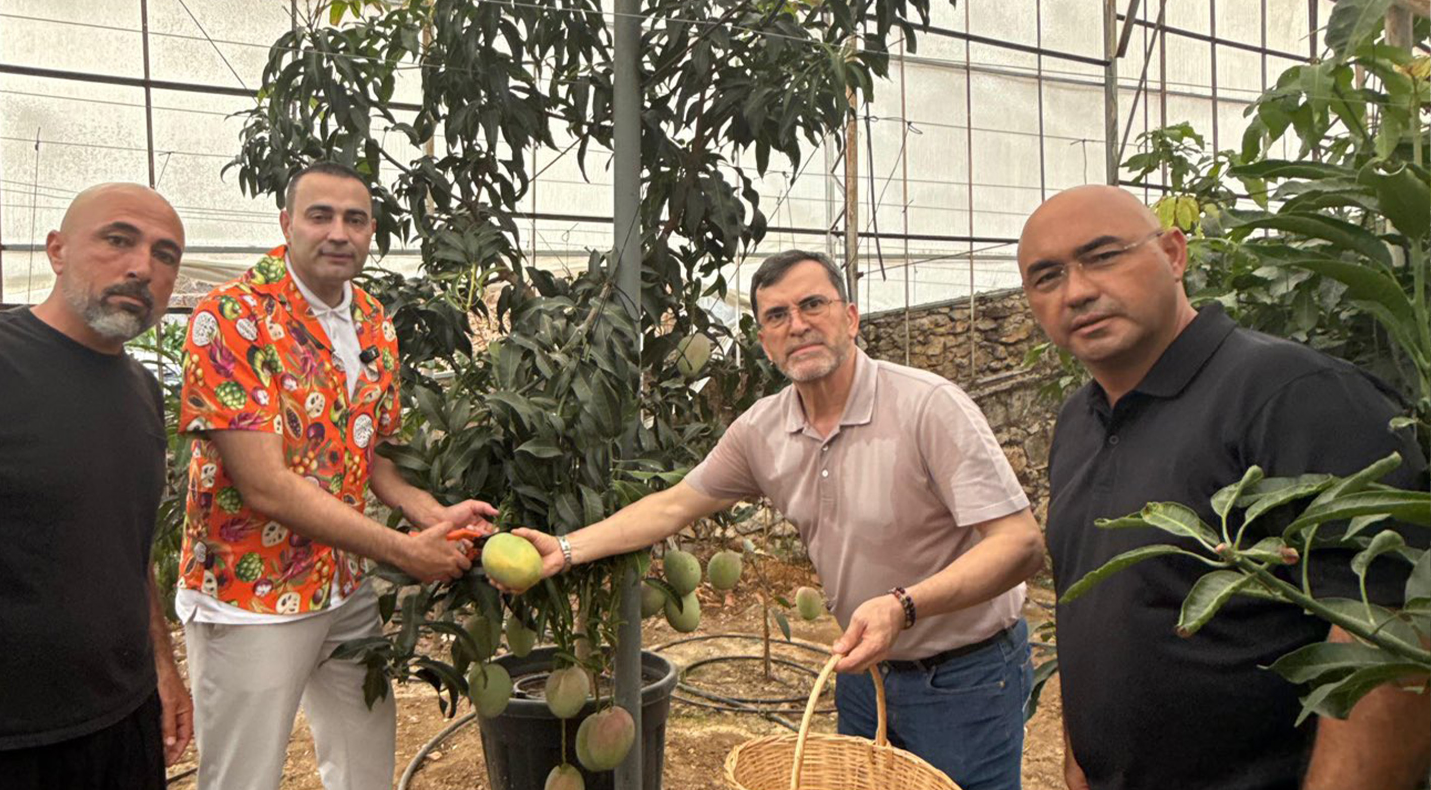 Kayadantropikalmeyveureticilerinedestek