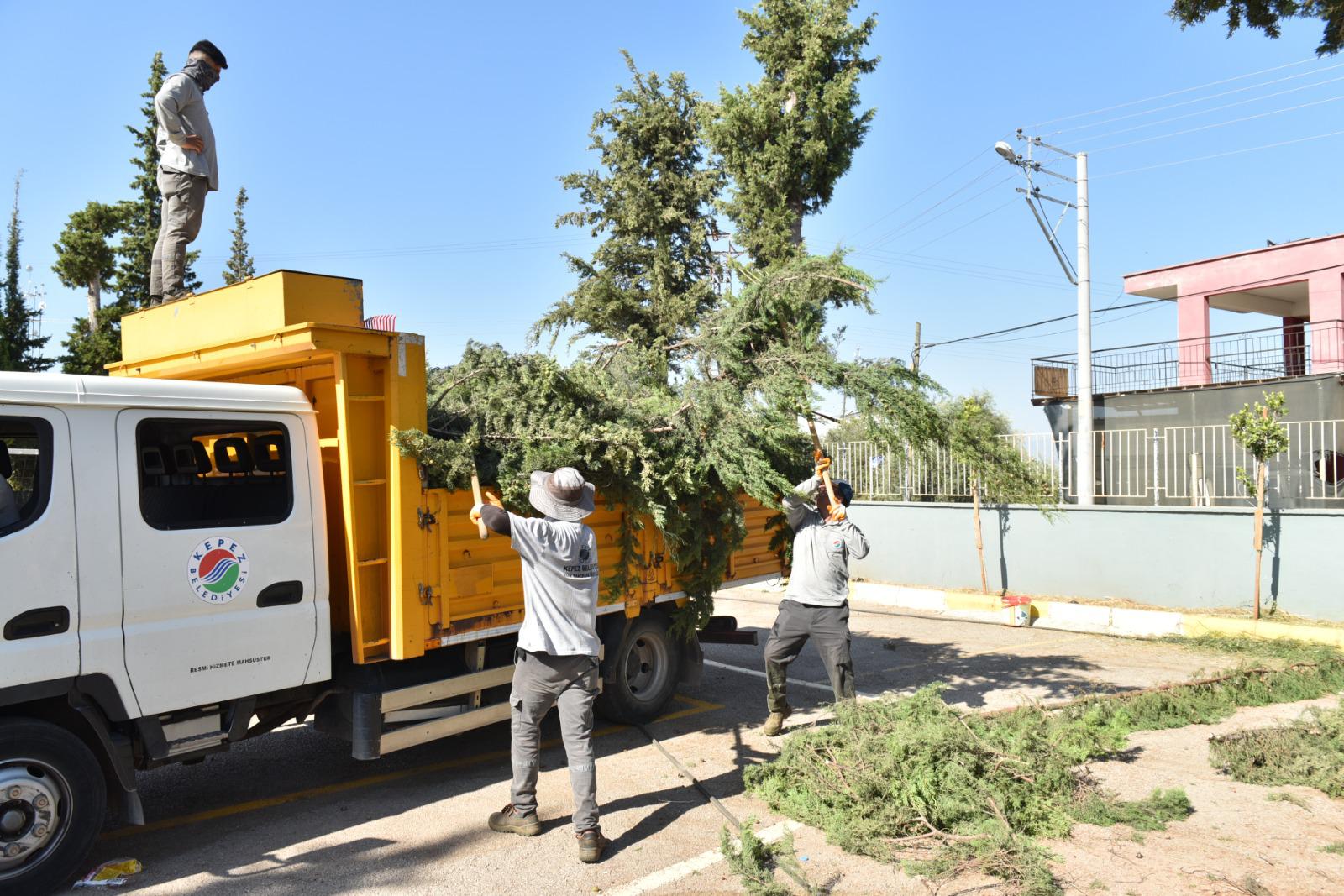 Kepezbelediyesindenbakimveonarimcalismasi