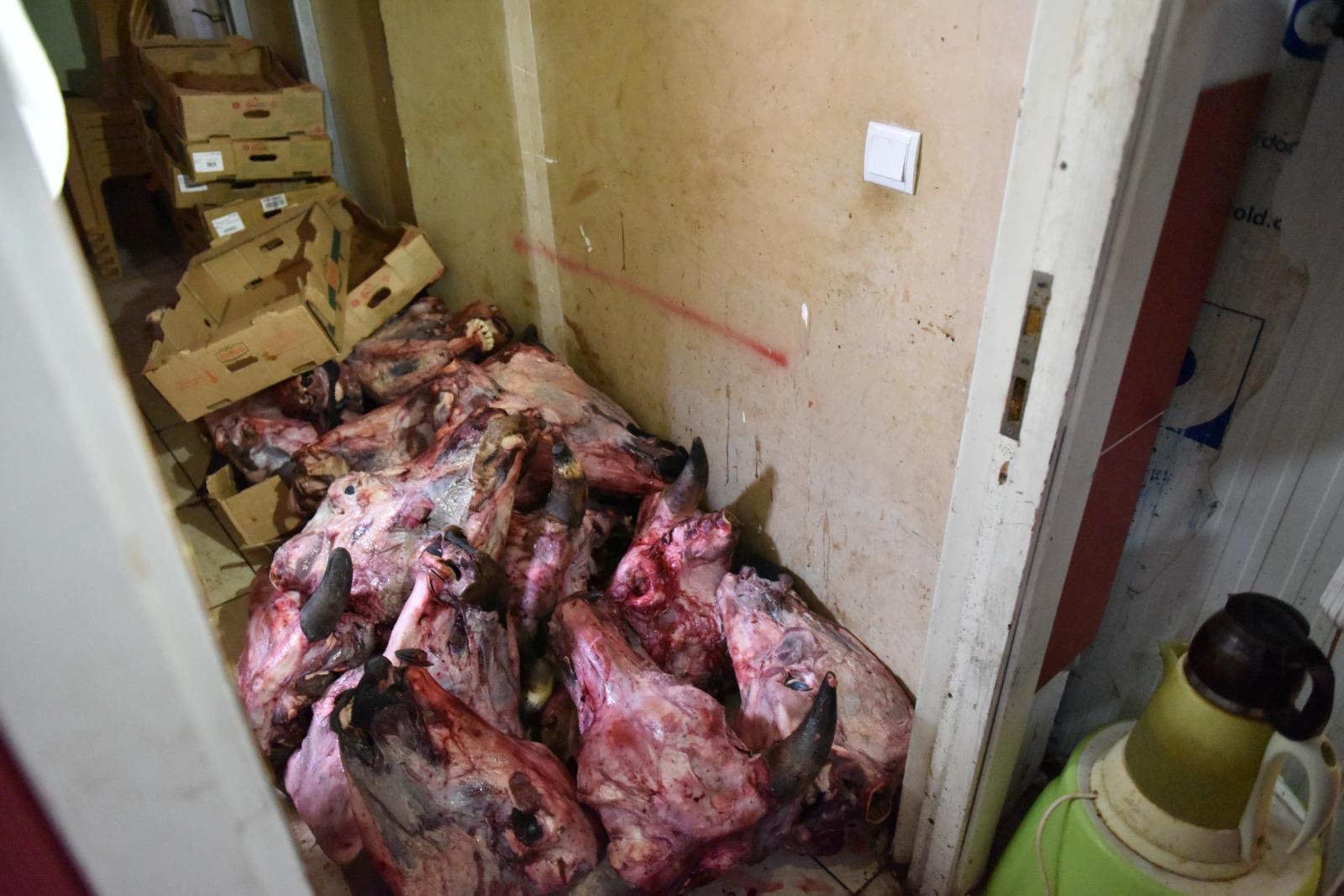 Kepezdegidadenetimi (2)