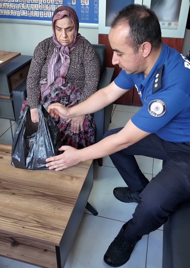 Kizialtinlarinicopeatti