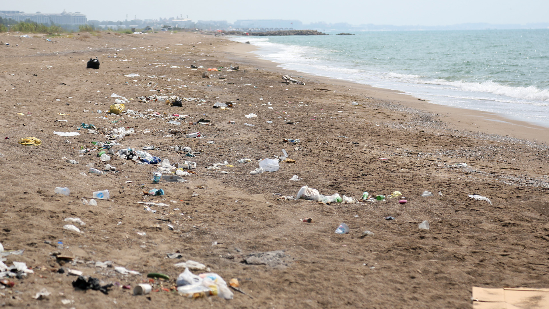 Kumkoysahilindecoplertepkicekti