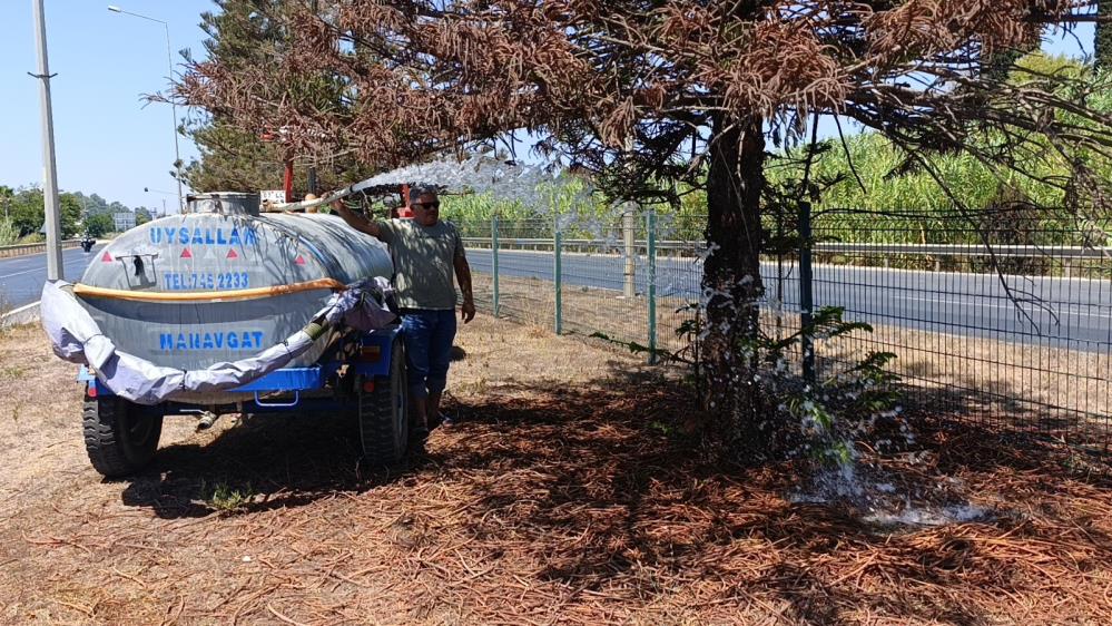 Kuruyanagaclaratankerlimudahale