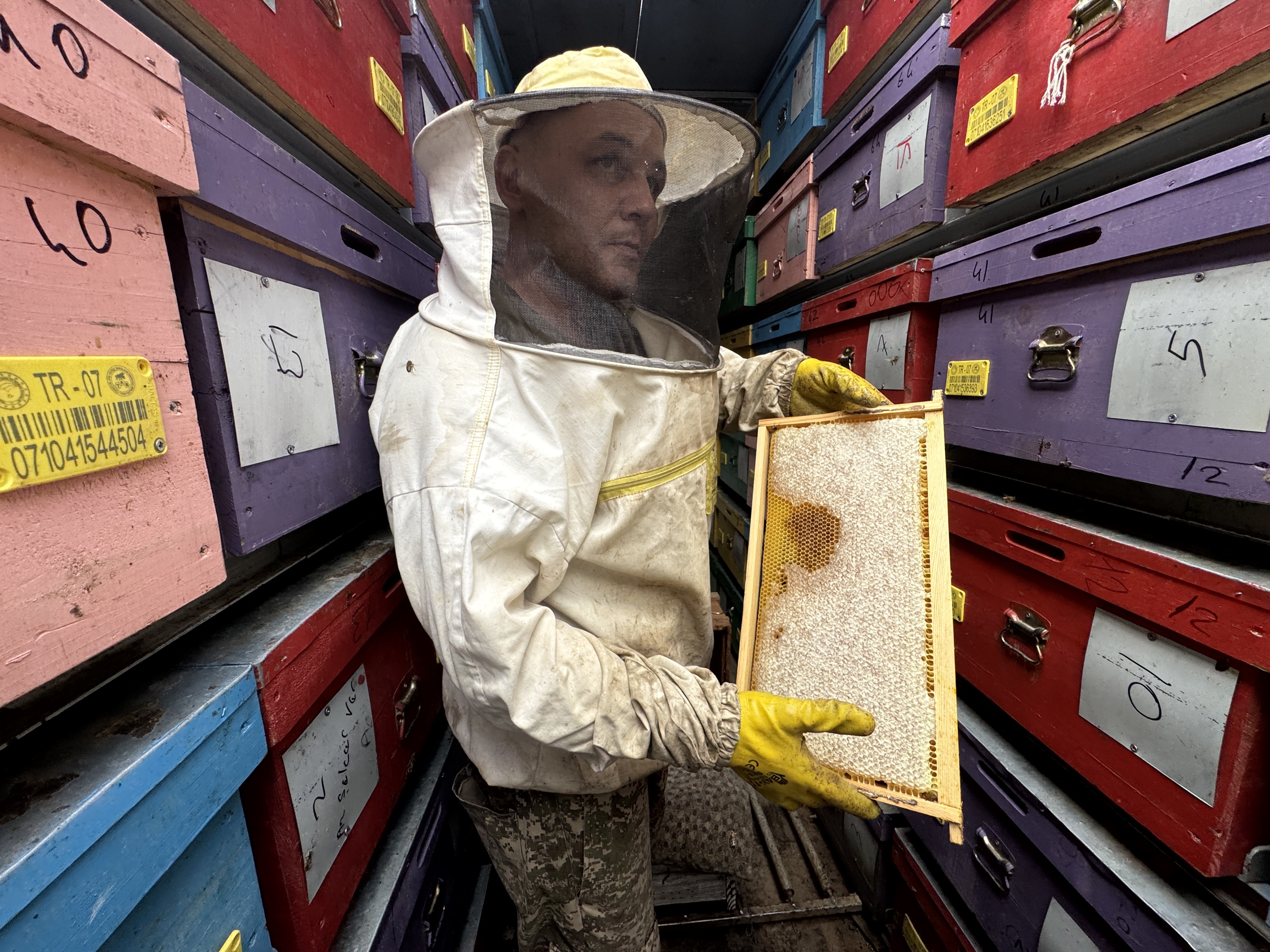 Manavgattaseyyararicilik