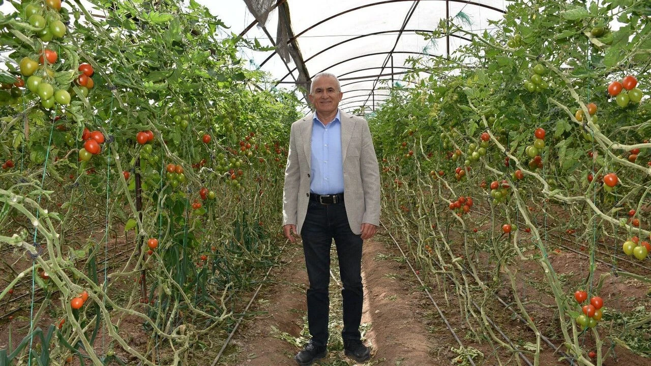 Mesutavcıoglukimdir