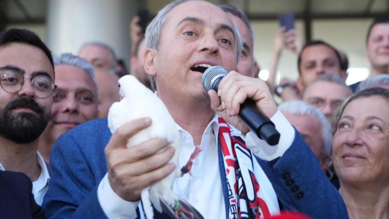 Mesutkocagozguvercin