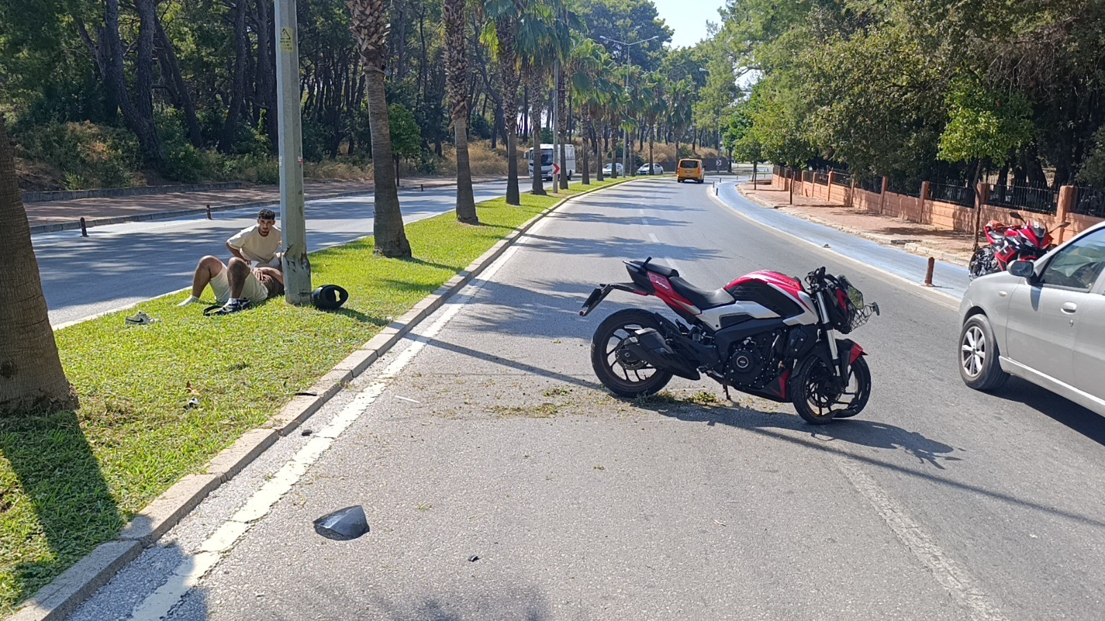 Motosikletlipalmiyeagacinacarpti