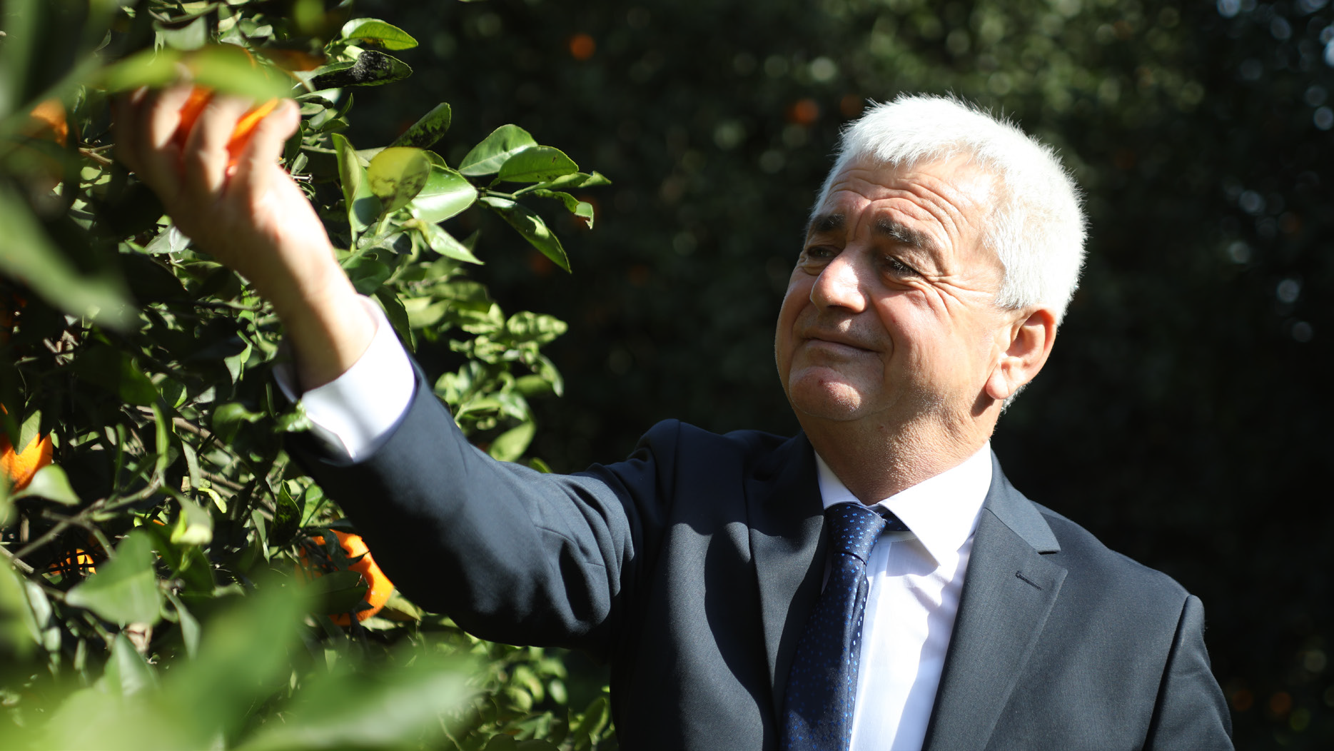 Mustafageyikcikimdir