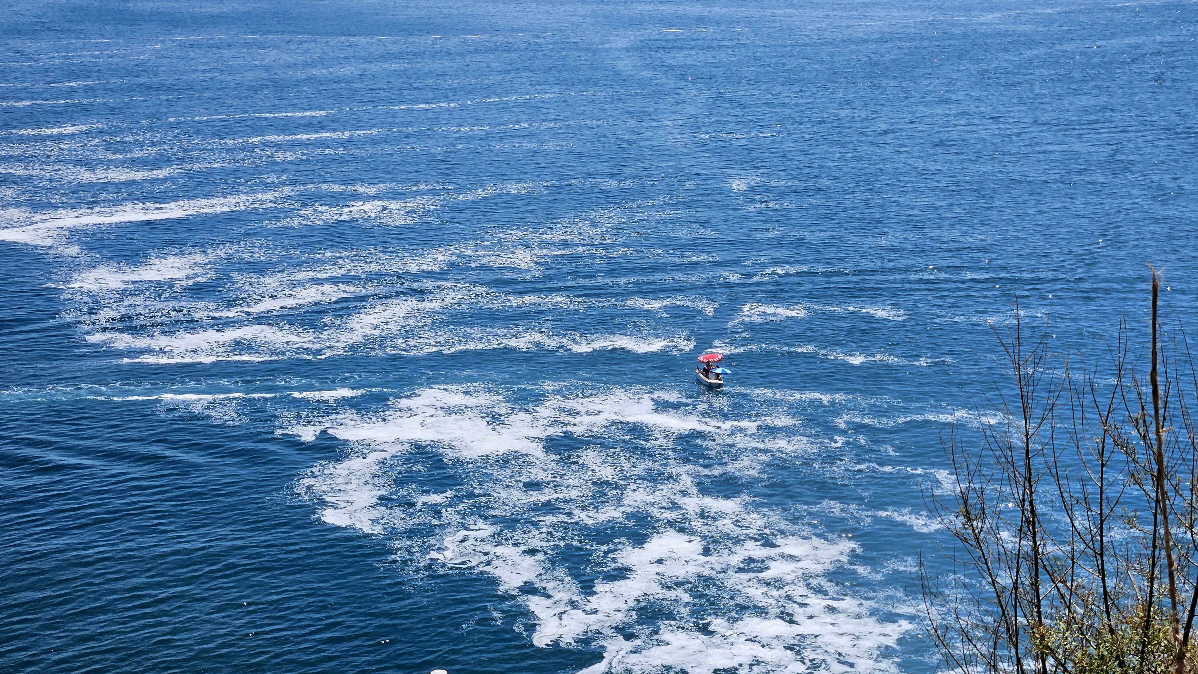 Neslitukenmetehlikesiolanbalikdudende