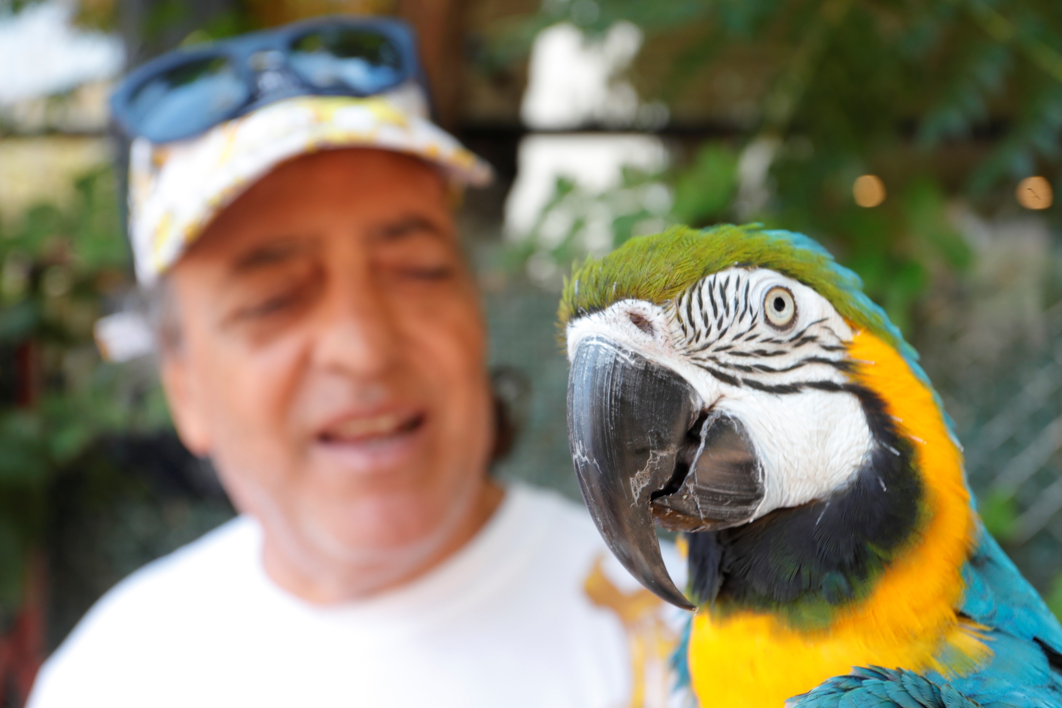 Omurlukdostunatugutozalkavustu