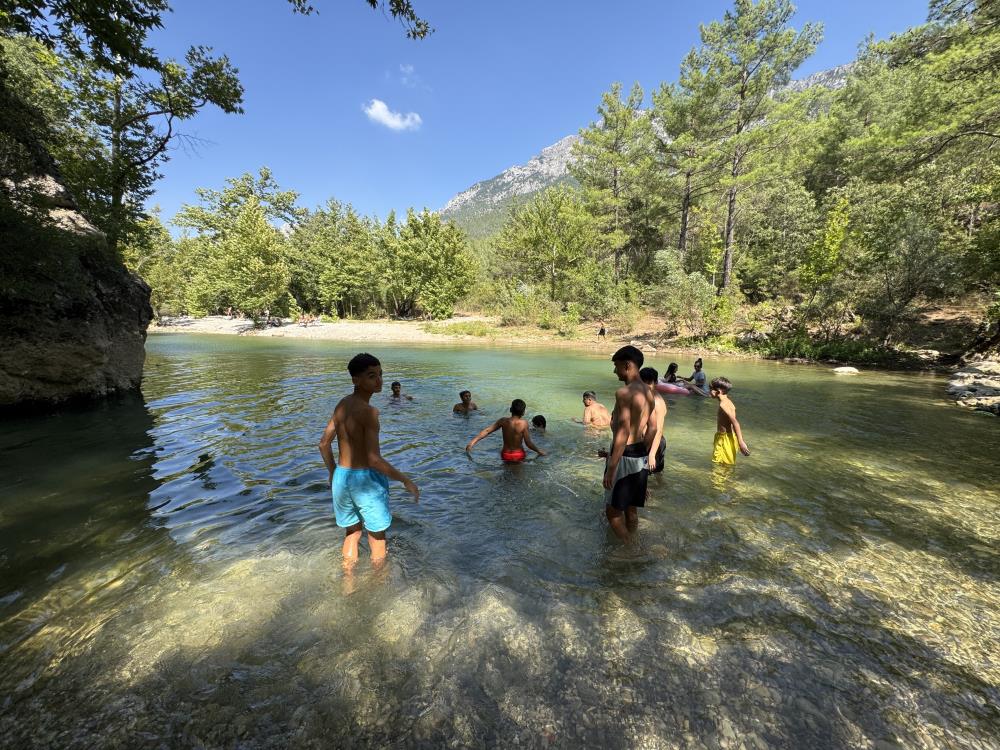 Ormanadadogaileicicespor