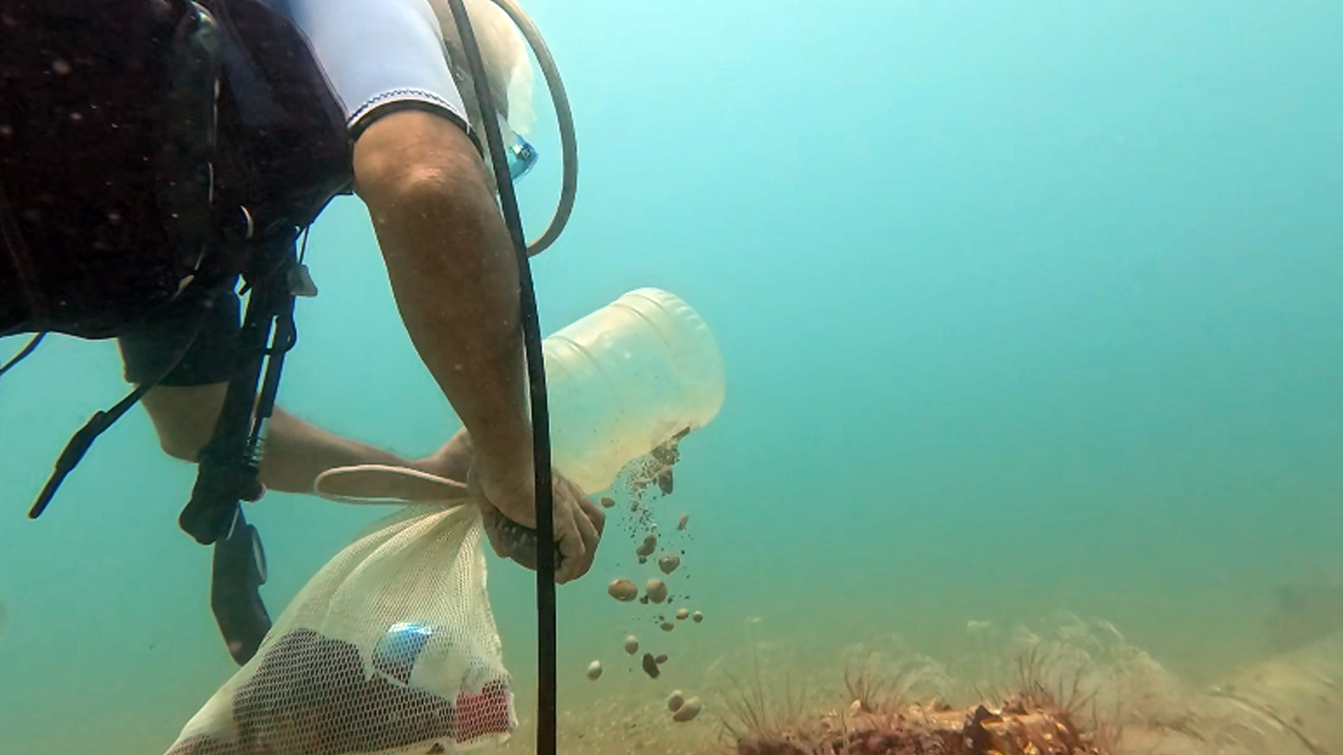 Profdrgokogluaciklamalardabulundu