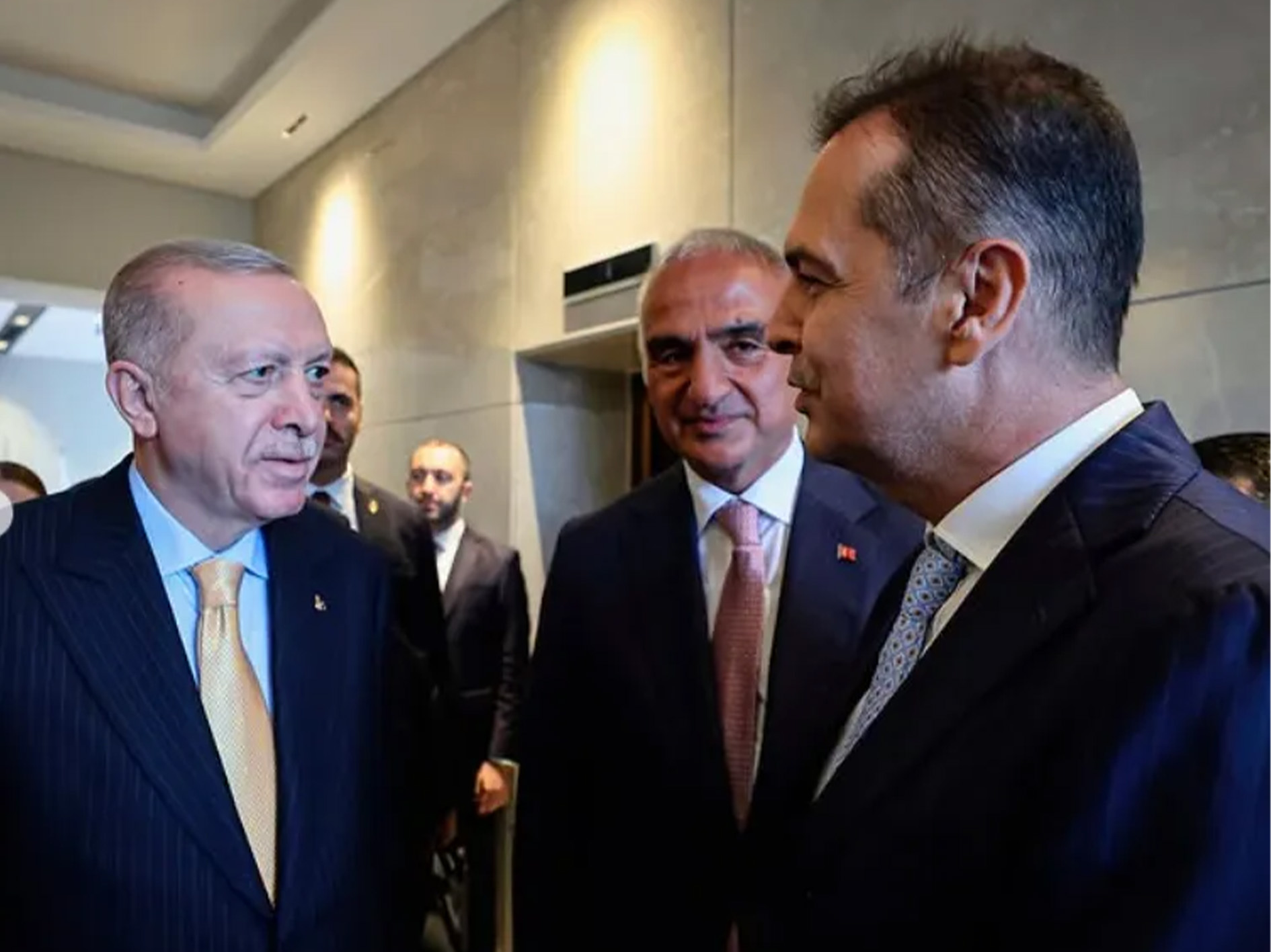 Rizapercinerdogangorusme