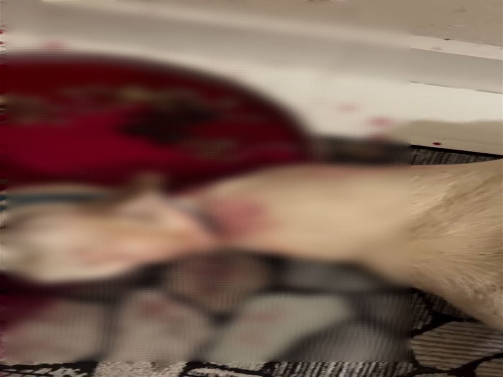 Samanayiniyaptigozaltinaalindi