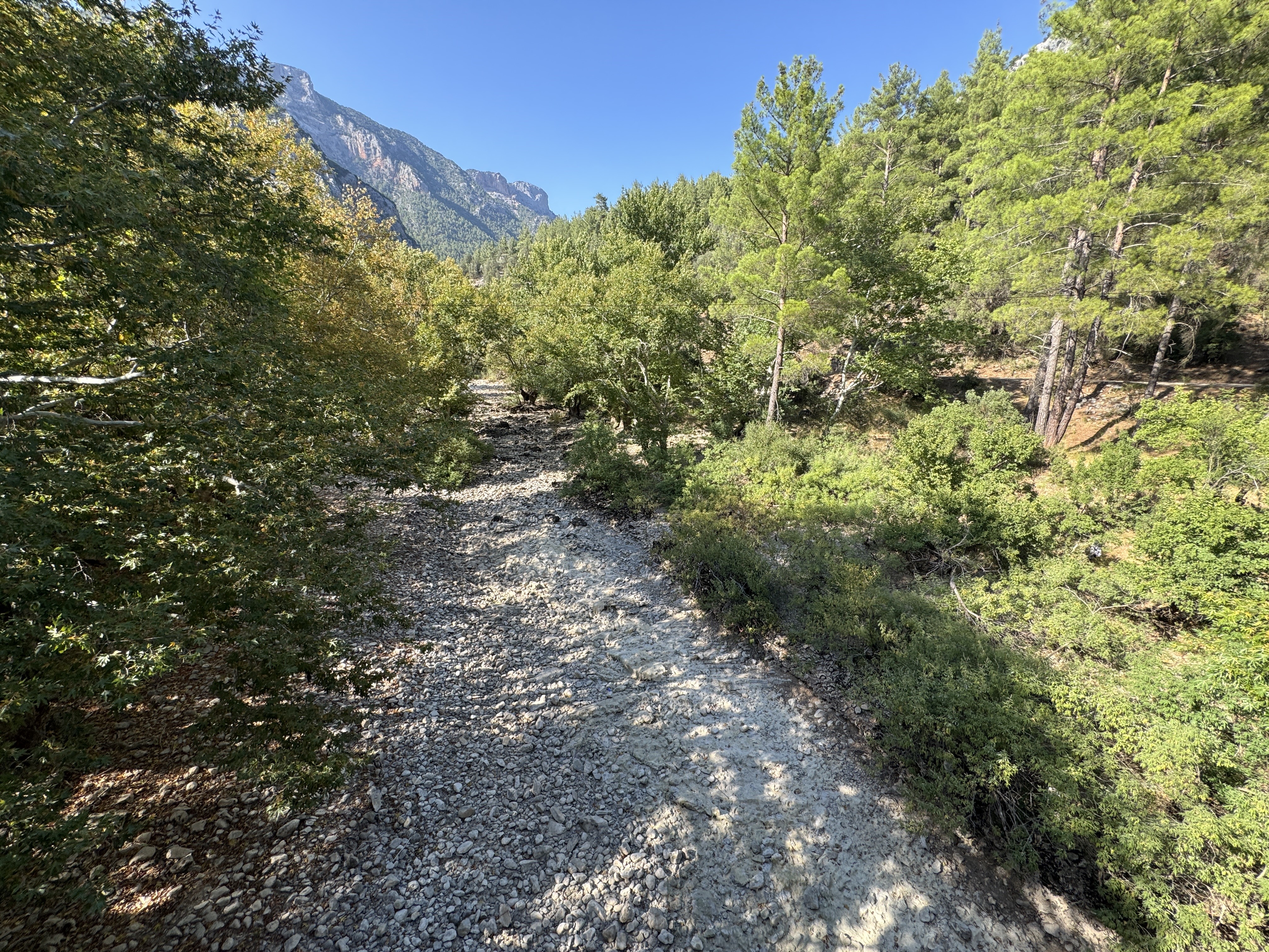 Selalelerkuruyorantalyadaneleroluyor