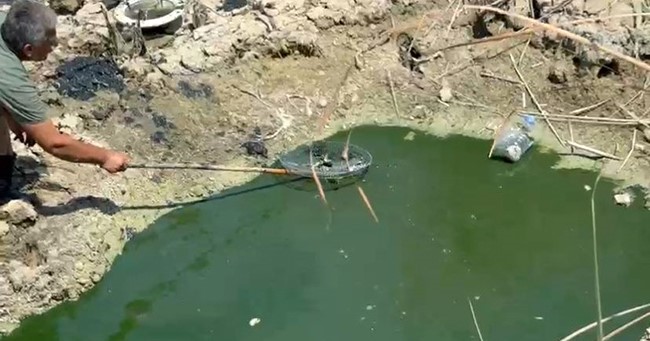 Seriktemuhtardanduyarlidavranis