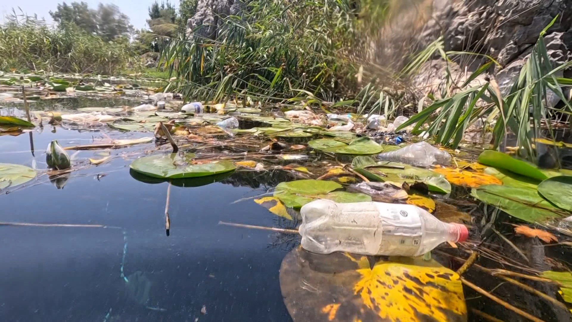 Sukaynagindacopkrizi