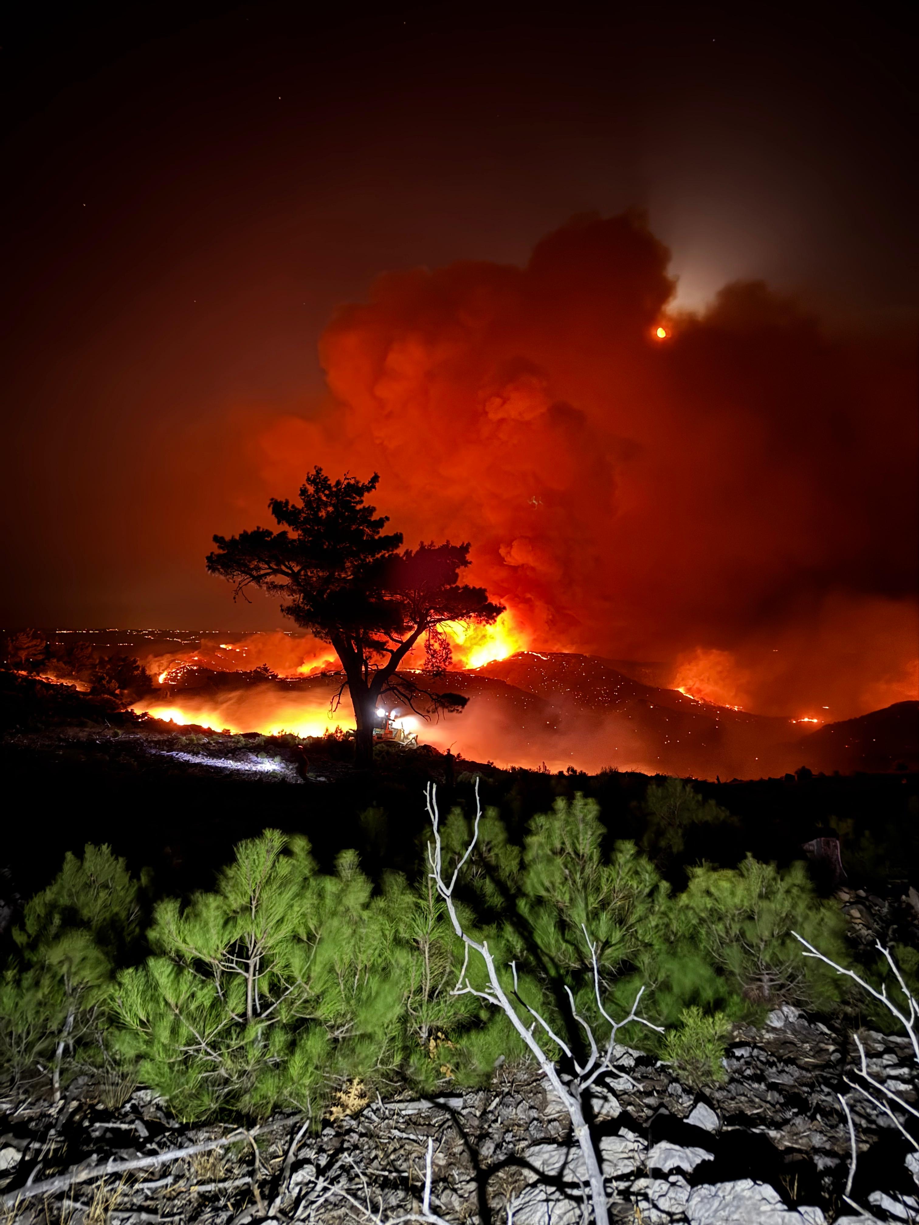 Suphelilergozaltinaalindi